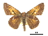  ( - CCDB-30817-F11)  @11 [ ] CreativeCommons - Attribution (2017) Jacopo Dercole Centre for Biodiversity Genomics
