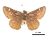  ( - CCDB-30817-H01)  @11 [ ] CreativeCommons - Attribution (2017) Jacopo Dercole Centre for Biodiversity Genomics