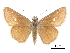  ( - CCDB-30817-H03)  @11 [ ] CreativeCommons - Attribution (2017) Jacopo Dercole Centre for Biodiversity Genomics
