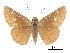  ( - CCDB-30817-H04)  @11 [ ] CreativeCommons - Attribution (2017) Jacopo Dercole Centre for Biodiversity Genomics