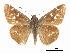  ( - CCDB-30818-A08)  @11 [ ] CreativeCommons - Attribution (2017) Jacopo Dercole Centre for Biodiversity Genomics
