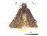  ( - CCDB-30818-C08)  @11 [ ] CreativeCommons - Attribution (2017) Jacopo Dercole Centre for Biodiversity Genomics