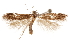  ( - CCDB-31099-B11)  @11 [ ] CreativeCommons - Attribution (2018) CBG Photography Group Centre for Biodiversity Genomics