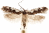  ( - CCDB-31099-B12)  @11 [ ] CreativeCommons - Attribution (2018) CBG Photography Group Centre for Biodiversity Genomics