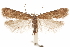  ( - CCDB-31099-D02)  @11 [ ] CreativeCommons - Attribution (2018) CBG Photography Group Centre for Biodiversity Genomics