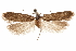  ( - CCDB-31099-F05)  @11 [ ] CreativeCommons - Attribution (2018) CBG Photography Group Centre for Biodiversity Genomics