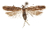  ( - CCDB-31099-F12)  @11 [ ] CreativeCommons - Attribution (2018) CBG Photography Group Centre for Biodiversity Genomics