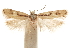  ( - CCDB-31100-A10)  @11 [ ] CreativeCommons - Attribution (2018) CBG Photography Group Centre for Biodiversity Genomics