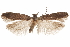  ( - CCDB-31100-B12)  @11 [ ] CreativeCommons - Attribution (2018) CBG Photography Group Centre for Biodiversity Genomics