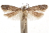  ( - CCDB-31100-D07)  @11 [ ] CreativeCommons - Attribution (2018) CBG Photography Group Centre for Biodiversity Genomics