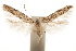  ( - CCDB-31100-D12)  @11 [ ] CreativeCommons - Attribution (2018) CBG Photography Group Centre for Biodiversity Genomics