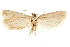  ( - CCDB-31101-C10)  @11 [ ] CreativeCommons - Attribution (2018) CBG Photography Group Centre for Biodiversity Genomics