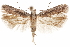  ( - CCDB-31101-D10)  @11 [ ] CreativeCommons - Attribution (2018) CBG Photography Group Centre for Biodiversity Genomics