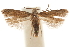  ( - CCDB-31101-F09)  @11 [ ] CreativeCommons - Attribution (2018) CBG Photography Group Centre for Biodiversity Genomics