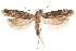  ( - CCDB-31101-G11)  @11 [ ] CreativeCommons - Attribution (2018) CBG Photography Group Centre for Biodiversity Genomics