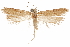  ( - CCDB-31101-H10)  @11 [ ] CreativeCommons - Attribution (2018) CBG Photography Group Centre for Biodiversity Genomics