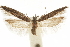  ( - CCDB-31102-C11)  @11 [ ] CreativeCommons - Attribution (2018) CBG Photography Group Centre for Biodiversity Genomics