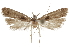  ( - CCDB-31102-D09)  @11 [ ] CreativeCommons - Attribution (2018) CBG Photography Group Centre for Biodiversity Genomics