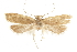  ( - CCDB-31102-E05)  @11 [ ] CreativeCommons - Attribution (2018) CBG Photography Group Centre for Biodiversity Genomics