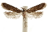  ( - CCDB-31102-E09)  @11 [ ] CreativeCommons - Attribution (2018) CBG Photography Group Centre for Biodiversity Genomics
