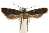  ( - CCDB-31102-F12)  @11 [ ] CreativeCommons - Attribution (2018) CBG Photography Group Centre for Biodiversity Genomics