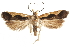  ( - CCDB-31102-G03)  @11 [ ] CreativeCommons - Attribution (2018) CBG Photography Group Centre for Biodiversity Genomics