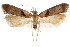  ( - CCDB-31102-G09)  @11 [ ] CreativeCommons - Attribution (2018) CBG Photography Group Centre for Biodiversity Genomics