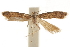  ( - CCDB-31102-H01)  @11 [ ] CreativeCommons - Attribution (2018) CBG Photography Group Centre for Biodiversity Genomics
