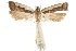  ( - CCDB-31102-H11)  @12 [ ] CreativeCommons - Attribution (2018) CBG Photography Group Centre for Biodiversity Genomics