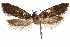 ( - CCDB-31103-B05)  @12 [ ] CreativeCommons - Attribution (2018) CBG Photography Group Centre for Biodiversity Genomics