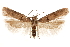 ( - CCDB-31103-F06)  @11 [ ] CreativeCommons - Attribution (2018) CBG Photography Group Centre for Biodiversity Genomics