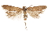  ( - CCDB-31103-F10)  @11 [ ] CreativeCommons - Attribution (2018) CBG Photography Group Centre for Biodiversity Genomics