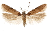  ( - CCDB-31103-G06)  @11 [ ] CreativeCommons - Attribution (2018) CBG Photography Group Centre for Biodiversity Genomics