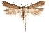  ( - CCDB-31103-G07)  @11 [ ] CreativeCommons - Attribution (2018) CBG Photography Group Centre for Biodiversity Genomics