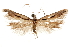  ( - CCDB-31103-G08)  @11 [ ] CreativeCommons - Attribution (2018) CBG Photography Group Centre for Biodiversity Genomics