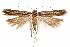  ( - CCDB-31103-G12)  @11 [ ] CreativeCommons - Attribution (2018) CBG Photography Group Centre for Biodiversity Genomics