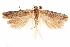  ( - CCDB-31103-H03)  @11 [ ] CreativeCommons - Attribution (2018) CBG Photography Group Centre for Biodiversity Genomics
