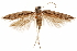  ( - CCDB-31103-H07)  @11 [ ] CreativeCommons - Attribution (2018) CBG Photography Group Centre for Biodiversity Genomics