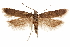  ( - CCDB-31103-H09)  @11 [ ] CreativeCommons - Attribution (2018) CBG Photography Group Centre for Biodiversity Genomics