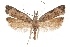  ( - CCDB-31104-A04)  @14 [ ] CreativeCommons - Attribution (2018) CBG Photography Group Centre for Biodiversity Genomics
