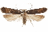  ( - CCDB-31104-B12)  @11 [ ] CreativeCommons - Attribution (2018) CBG Photography Group Centre for Biodiversity Genomics