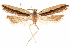  ( - CCDB-31104-C03)  @11 [ ] CreativeCommons - Attribution (2018) CBG Photography Group Centre for Biodiversity Genomics