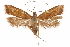  ( - CCDB-31104-C04)  @11 [ ] CreativeCommons - Attribution (2018) CBG Photography Group Centre for Biodiversity Genomics