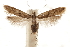  ( - CCDB-31104-C09)  @13 [ ] CreativeCommons - Attribution (2018) CBG Photography Group Centre for Biodiversity Genomics