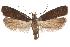  ( - CCDB-31104-C10)  @14 [ ] CreativeCommons - Attribution (2018) CBG Photography Group Centre for Biodiversity Genomics