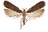  ( - CCDB-31104-C11)  @13 [ ] CreativeCommons - Attribution (2018) CBG Photography Group Centre for Biodiversity Genomics