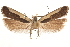  ( - CCDB-31104-D02)  @11 [ ] CreativeCommons - Attribution (2018) CBG Photography Group Centre for Biodiversity Genomics