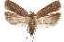  ( - CCDB-31104-E03)  @14 [ ] CreativeCommons - Attribution (2018) CBG Photography Group Centre for Biodiversity Genomics