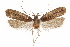  ( - CCDB-31104-E08)  @11 [ ] CreativeCommons - Attribution (2018) CBG Photography Group Centre for Biodiversity Genomics