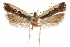  ( - CCDB-31104-E09)  @11 [ ] CreativeCommons - Attribution (2018) CBG Photography Group Centre for Biodiversity Genomics